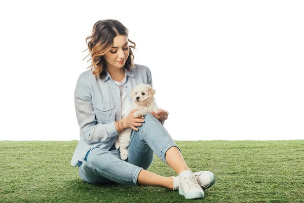 Woman sitting on grass and looking at Havanese puppy isolated on white — Stock Photo