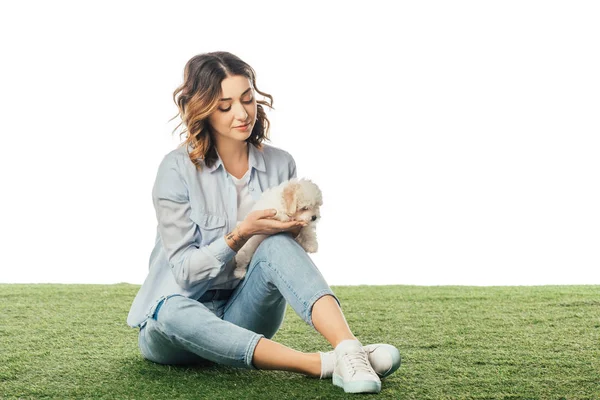 Donna seduta sull'erba e guardando il cucciolo di Havanese isolato sul bianco — Foto stock