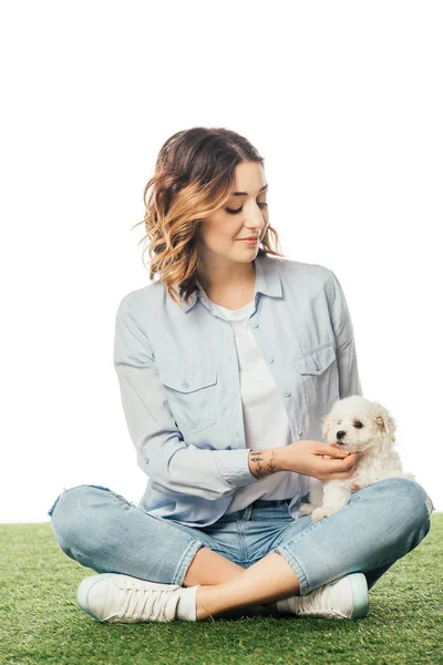 Femme souriante caressant chiot Havanais et assis sur l'herbe isolé sur blanc — Photo de stock