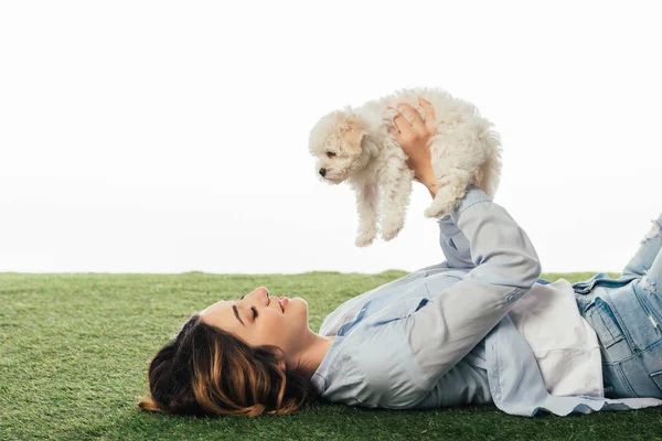 Vista lateral de mujer sonriente sosteniendo cachorro de Havanese aislado en blanco — Stock Photo