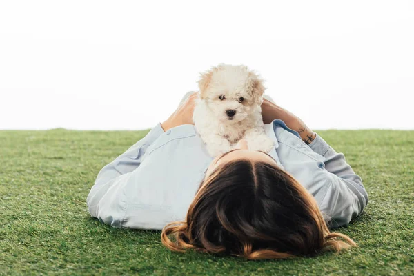 Woman lying on grass with Havanese puppy isolated on white — Stock Photo