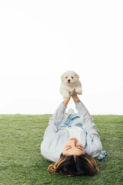 Woman lying on grass and holding Havanese puppy isolated on white — Stock Photo