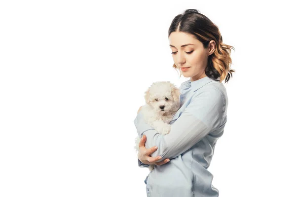 Attractive woman holding cute Havanese puppy isolated on white — Stock Photo