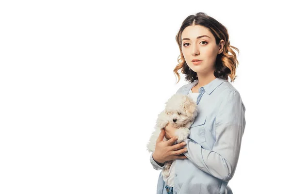 Mujer atractiva sosteniendo lindo cachorro de Havanese aislado en blanco - foto de stock