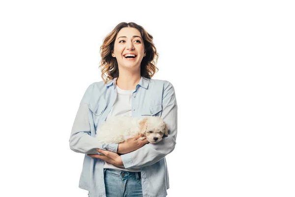 Sorrindo mulher segurando bonito filhote de cachorro havanês isolado no branco — Fotografia de Stock