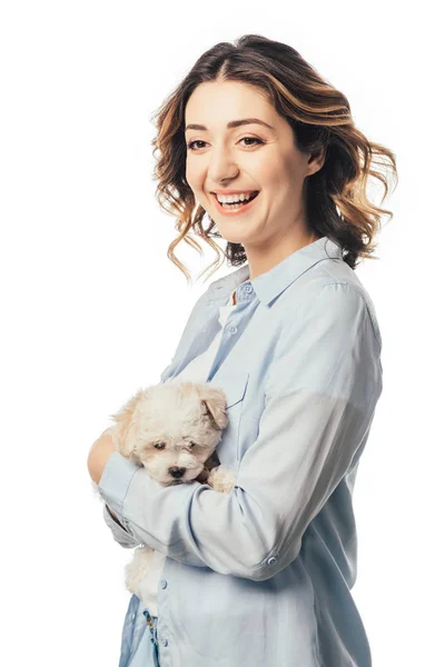 Улыбающаяся женщина держит милого гаванского щенка изолированным на белом — стоковое фото