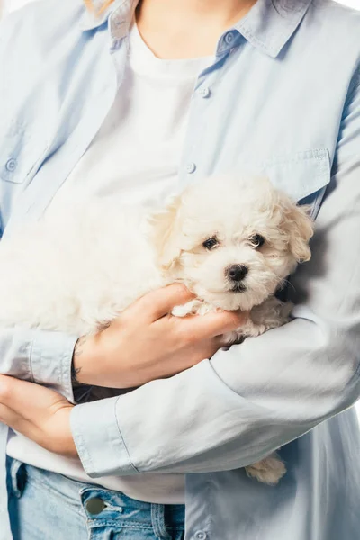 Cropped view of woman in shirt holding cute Havanese puppy — Stock Photo