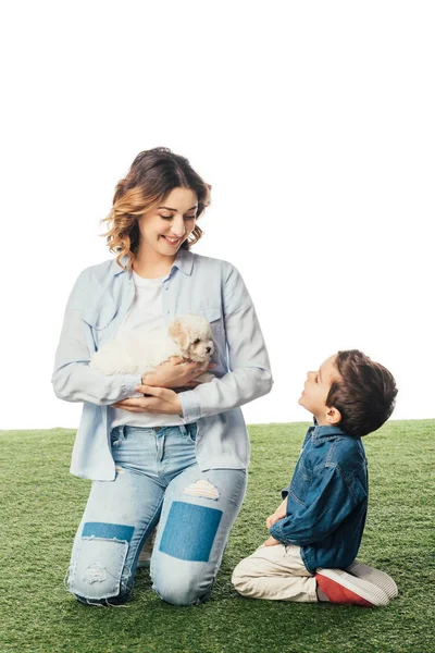 Madre sorridente tenendo Havanese cucciolo e figlio guardando il suo isolato su bianco — Foto stock