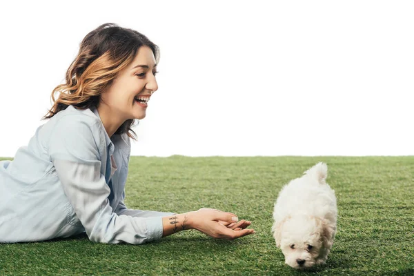 Donna sorridente con cucciolo avanese sdraiato su erba isolata su bianco — Foto stock