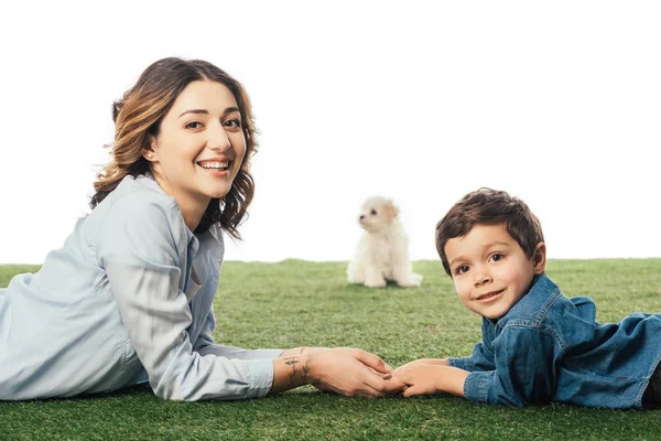 Enfoque selectivo de sonriente madre e hijo acostado en la hierba y cachorro de Havanese en el fondo aislado en blanco - foto de stock