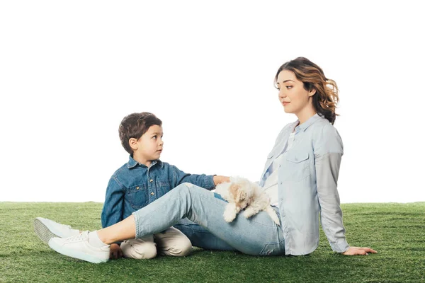 Mother sitting on grass and son stroking Havanese puppy isolated on white — Stock Photo