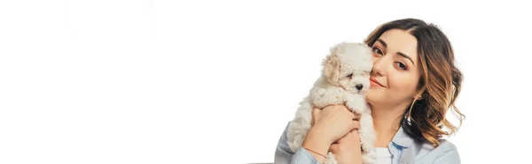 Panoramic shot of smiling woman holding Havanese puppy isolated on white — Stock Photo