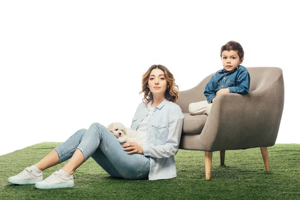 Mother with Havanese puppy sitting on grass and son sitting on armchair isolated on white — Stock Photo