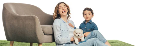 Panoramic shot of smiling mother with Havanese puppy and son looking at camera isolated on white — Stock Photo