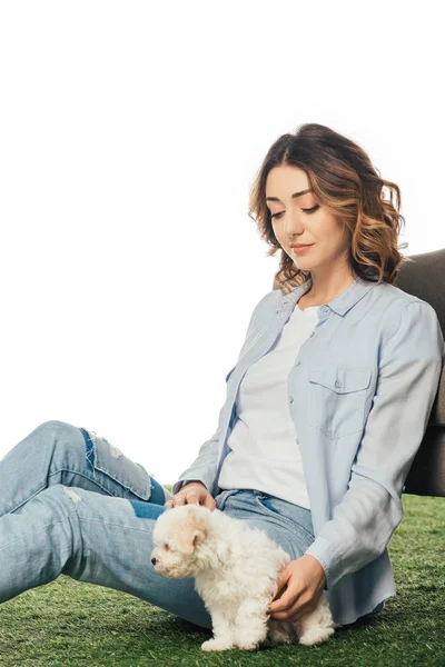 Mujer sentada en la hierba y mirando a Havanese cachorro aislado en blanco — Stock Photo