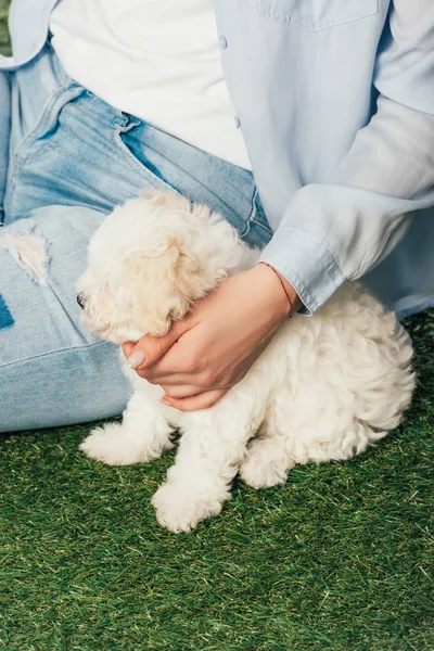 Cropped view of woman with Havanese puppy sitting on grass — Stock Photo