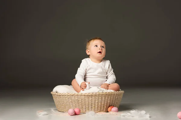Lindo niño sosteniendo huevo de Pascua, mirando hacia arriba con la boca abierta en la cesta sobre fondo negro - foto de stock
