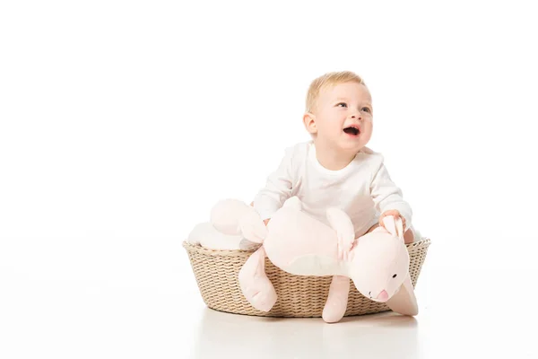 Cute child holding pink bunny, looking up with open mouth inside basket on white background — Stock Photo