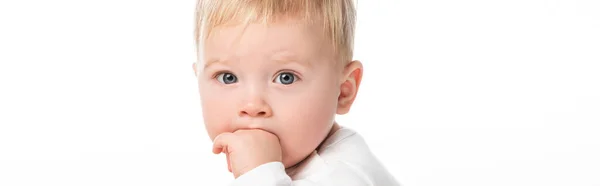 Criança bonito colocando a mão na boca, olhando para a câmera isolada em branco, tiro panorâmico — Fotografia de Stock