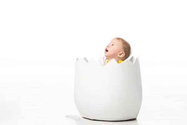 Lindo niño mirando hacia arriba con la boca abierta dentro de cáscara de huevo sobre fondo blanco - foto de stock