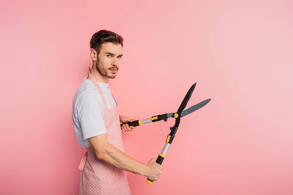 Serious young man in apron holding gardening scissors on pink background — Stock Photo