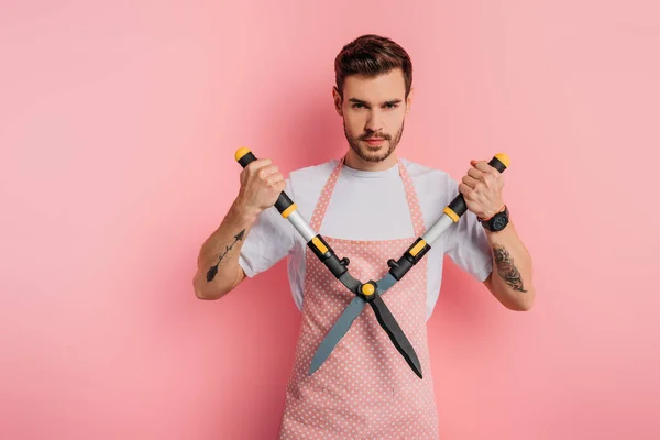 Serious young man in apron holding gardening scissors on pink background — Stock Photo