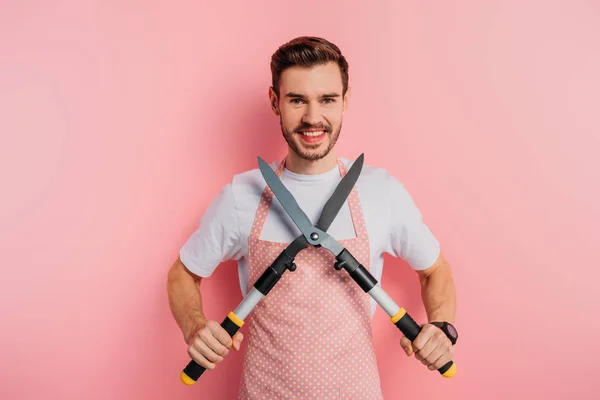 Веселий молодий чоловік в фартусі тримає ножиці для садівництва на рожевому фоні — стокове фото