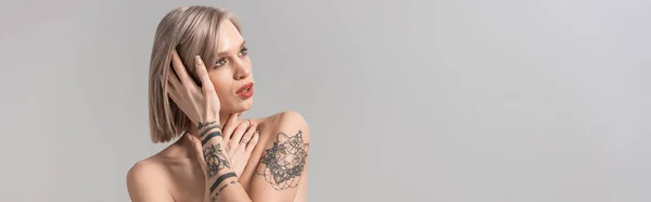 Sexy young topless tattooed woman posing isolated on grey, panoramic shot — Stock Photo