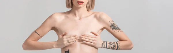 Recortado vista de sexy joven en topless mujer tatuada que cubre el pecho con las manos aisladas en gris, tiro panorámico - foto de stock