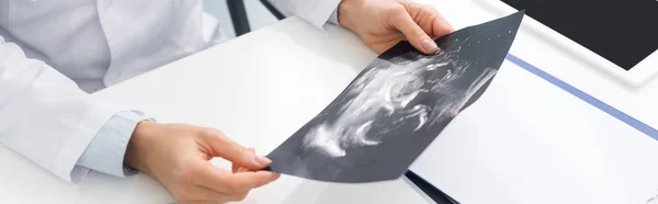 Cropped view of professional female doctor looking at ultrasound scan, panoramic shot — Stock Photo