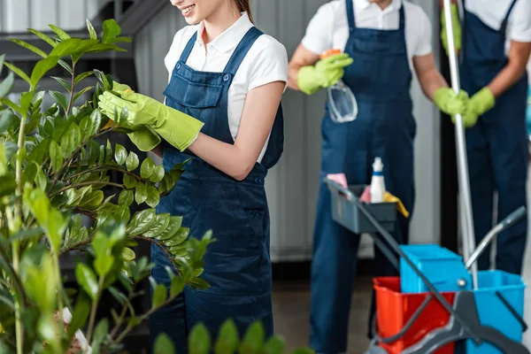 Vue recadrée des plantes nettoyantes souriantes essuyant tandis que les collègues debout sur le fond — Photo de stock