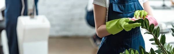 Cropped view of cleaner in overalls cleaning plant in office, panoramic shot — Stock Photo