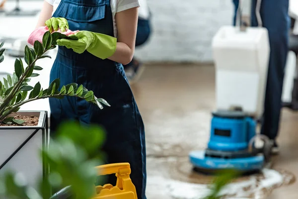 Partial view of cleaner wiping office plants with rag near floor cleaning machine — Stock Photo