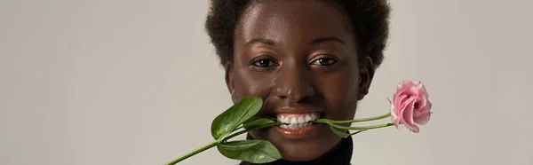 Panoramic shot of cheerful african american woman holding eustoma flower in teeth isolated on grey — Stock Photo