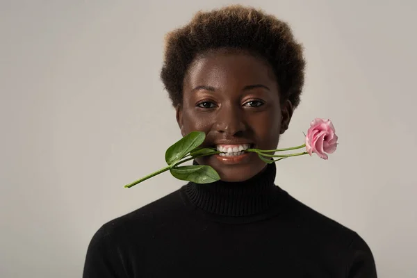 Femme afro-américaine souriante au col roulé noir tenant fleur rose dans les dents isolées sur gris — Photo de stock