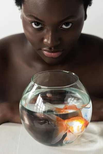 Афроамериканська дівчина з рибою в акваріумі на столі ізольована на сірому — стокове фото