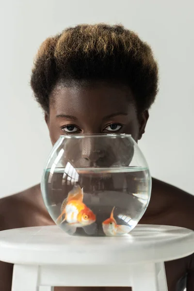 Attractive naked african american girl looking through aquarium with fish isolated on grey — Stock Photo