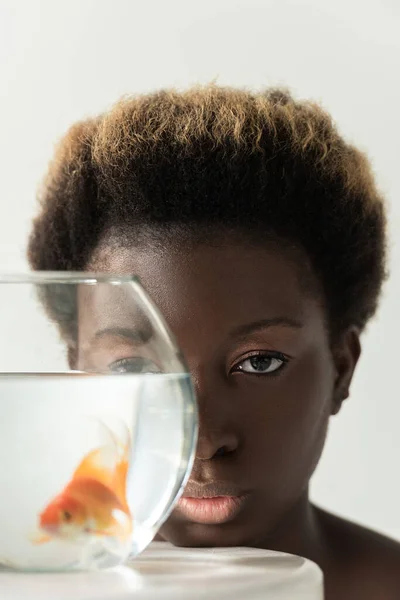 African american girl looking through aquarium with fish isolated on grey — Stock Photo