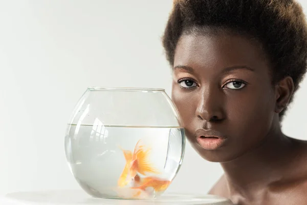 Гола афроамериканська дівчина з рибою в акваріумі на столі ізольована на сірому — стокове фото