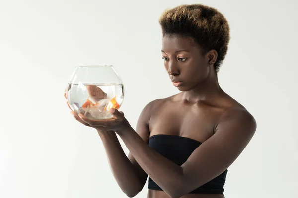 African american girl holding aquarium with fish isolated on grey — Stock Photo
