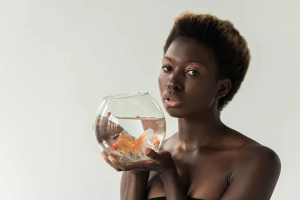 Молода ніжна афроамериканка тримає акваріум з рибою ізольована на сірому — стокове фото