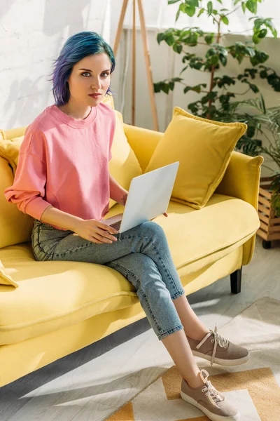 Freelancer con el pelo colorido y portátil mirando a la cámara y sentado en el sofá con las piernas cruzadas en la sala de estar - foto de stock