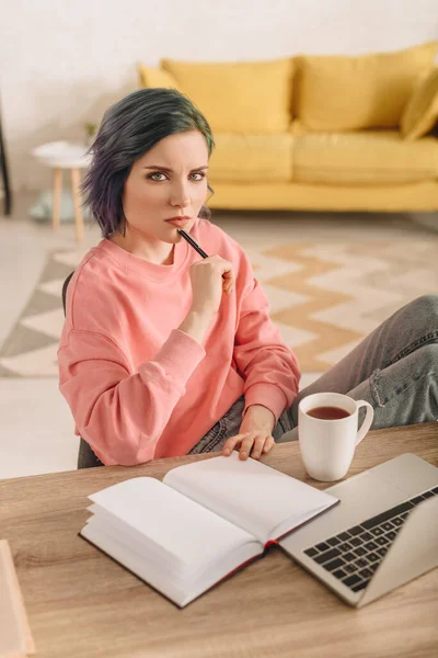 Vista de alto ângulo do freelancer com cabelo colorido e caneta olhando para a câmera à mesa com xícara de chá, notebook e laptop na sala de estar — Fotografia de Stock