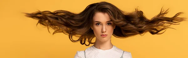 Plano panorámico de hermosa mujer de primavera segura con el pelo largo aislado en amarillo - foto de stock