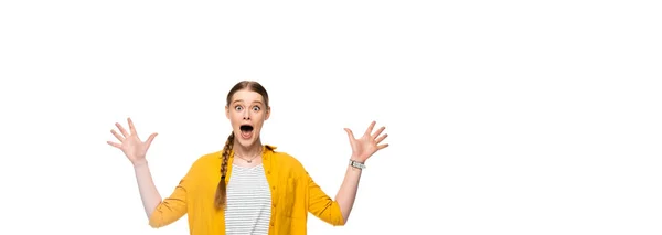 Scared pretty girl with braid screaming isolated on white, panoramic shot — Stock Photo