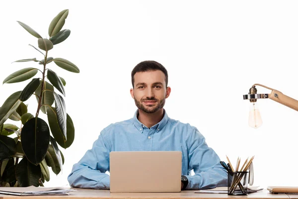 Freelancer feliz usando el ordenador portátil cerca de la planta aislada en el espacio de trabajo blanco - foto de stock