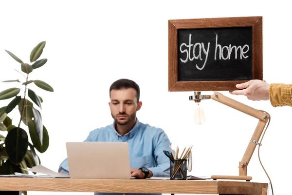 Bärtiger Freiberufler mit Laptop in Pflanzennähe und Kreidetafel mit Bleibe-Schriftzug auf weißem Grund — Stockfoto