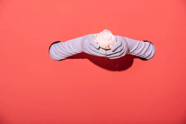 Cropped view of woman in gloves holding sweet dessert on red — Stock Photo