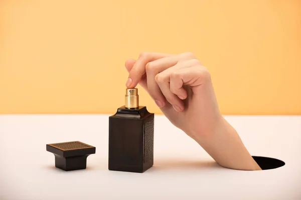 Cropped view of woman touching perfume bottle on orange and white — Stock Photo