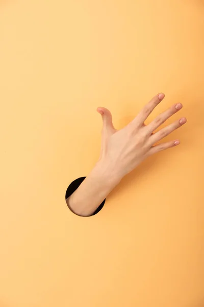 Cropped view of hole with hand of woman on orange — Stock Photo